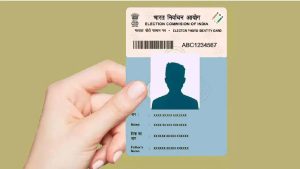 Document & Identity-Related Info